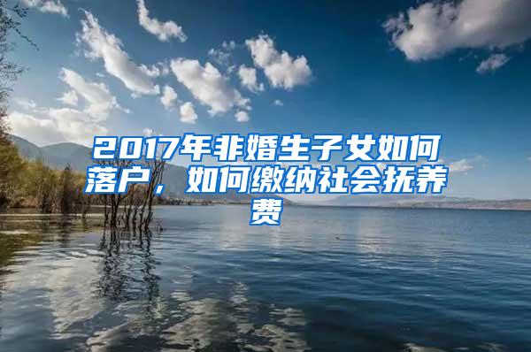 2017年非婚生子女如何落户，如何缴纳社会抚养费