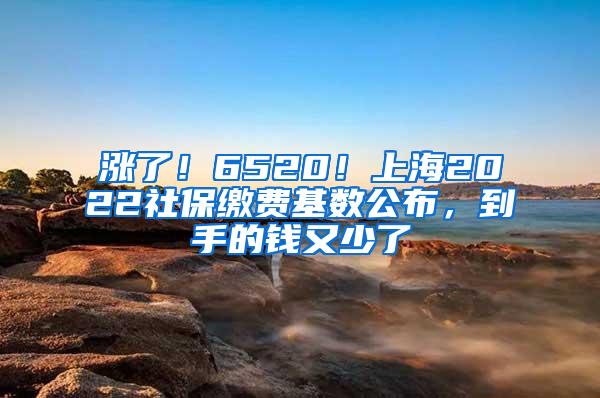 涨了！6520！上海2022社保缴费基数公布，到手的钱又少了