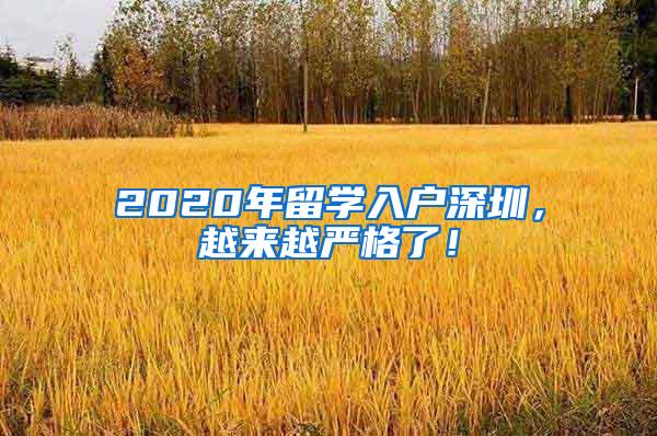 2020年留学入户深圳，越来越严格了！