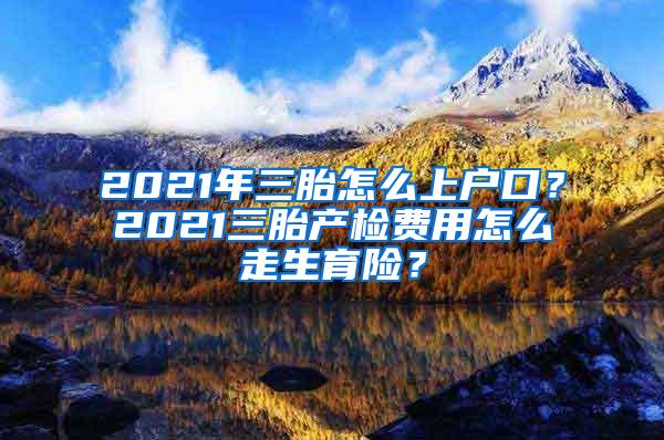 2021年三胎怎么上户口？2021三胎产检费用怎么走生育险？