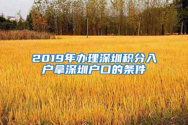 2019年办理深圳积分入户拿深圳户口的条件