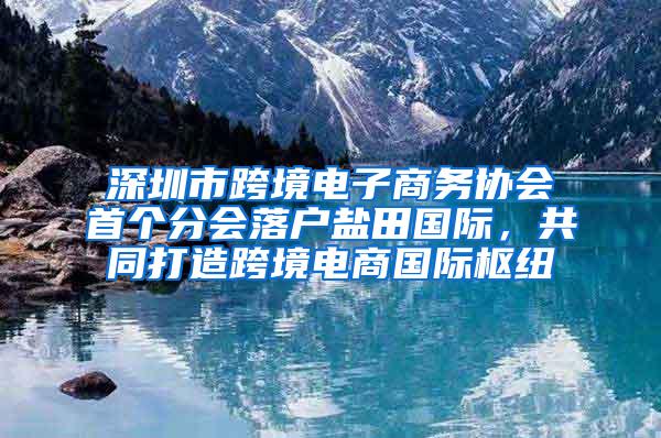 深圳市跨境电子商务协会首个分会落户盐田国际，共同打造跨境电商国际枢纽