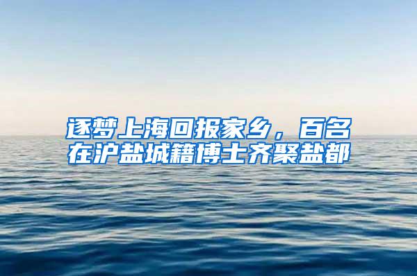 逐梦上海回报家乡，百名在沪盐城籍博士齐聚盐都