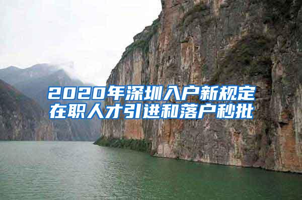 2020年深圳入户新规定在职人才引进和落户秒批