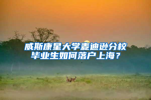 威斯康星大学麦迪逊分校毕业生如何落户上海？