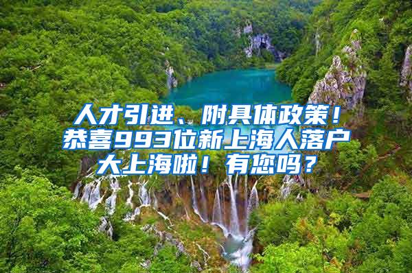 人才引进、附具体政策！恭喜993位新上海人落户大上海啦！有您吗？