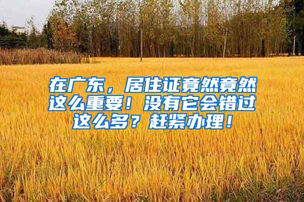 在广东，居住证竟然竟然这么重要！没有它会错过这么多？赶紧办理！