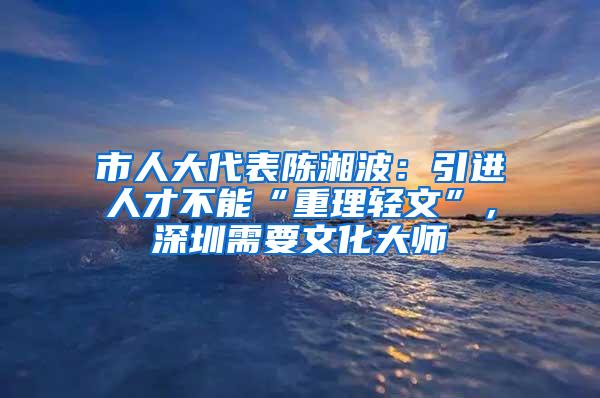 市人大代表陈湘波：引进人才不能“重理轻文”，深圳需要文化大师