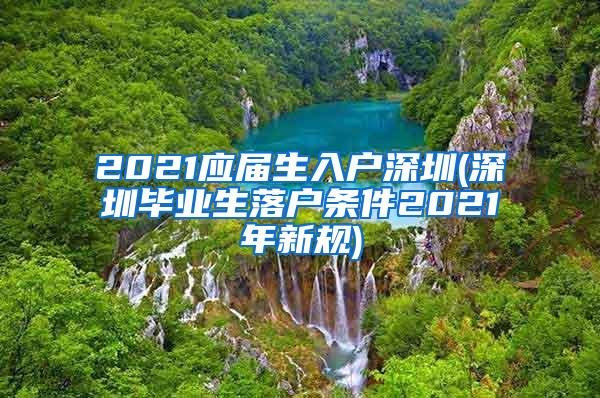 2021应届生入户深圳(深圳毕业生落户条件2021年新规)