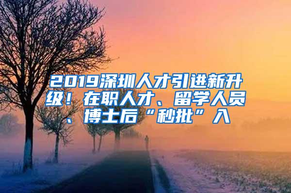 2019深圳人才引进新升级！在职人才、留学人员、博士后“秒批”入