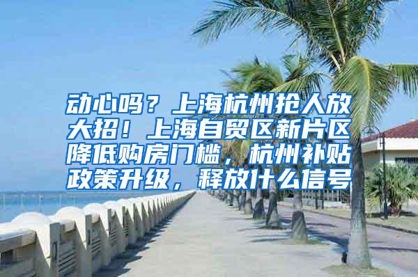 动心吗？上海杭州抢人放大招！上海自贸区新片区降低购房门槛，杭州补贴政策升级，释放什么信号