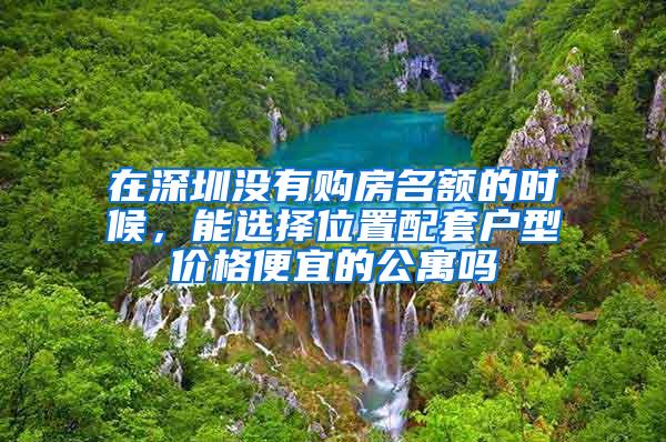 在深圳没有购房名额的时候，能选择位置配套户型价格便宜的公寓吗