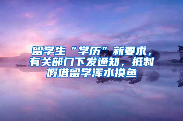 留学生“学历”新要求，有关部门下发通知，抵制假借留学浑水摸鱼