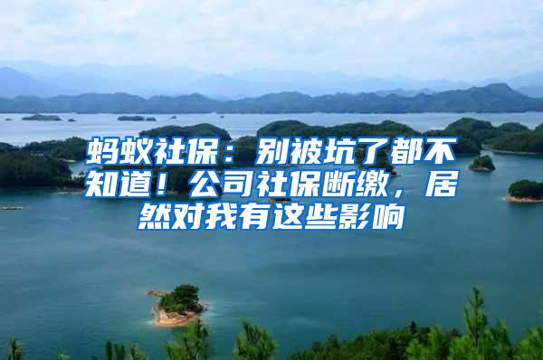 蚂蚁社保：别被坑了都不知道！公司社保断缴，居然对我有这些影响