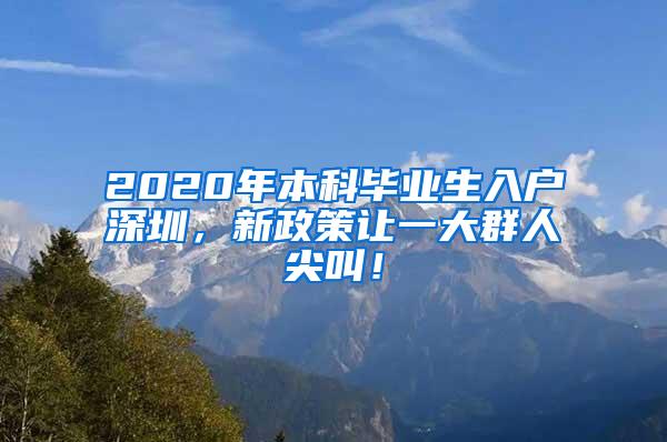 2020年本科毕业生入户深圳，新政策让一大群人尖叫！