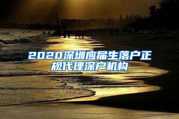 2020深圳应届生落户正规代理深户机构