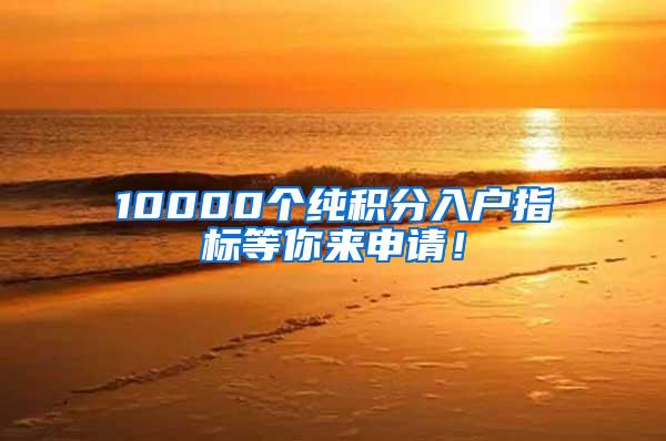 10000个纯积分入户指标等你来申请！