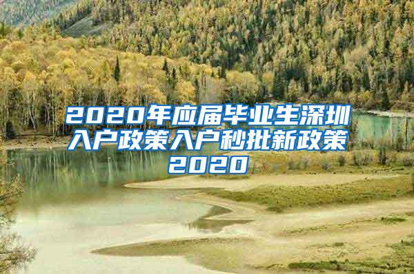 2020年应届毕业生深圳入户政策入户秒批新政策2020