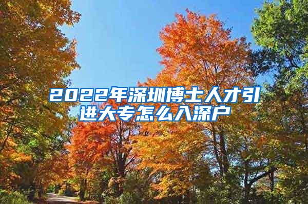 2022年深圳博士人才引进大专怎么入深户