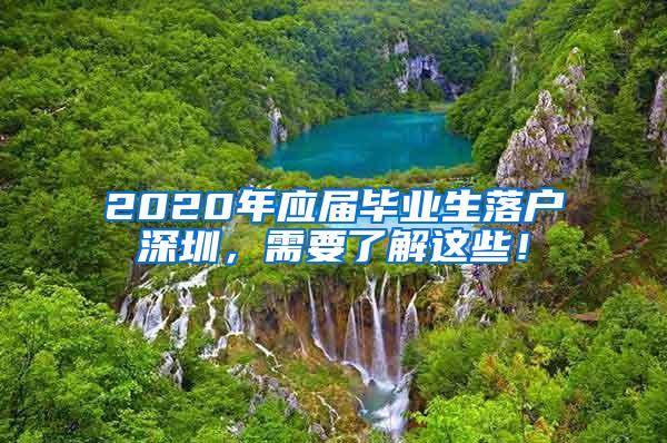 2020年应届毕业生落户深圳，需要了解这些！