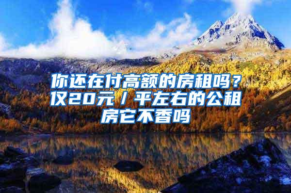 你还在付高额的房租吗？仅20元／平左右的公租房它不香吗