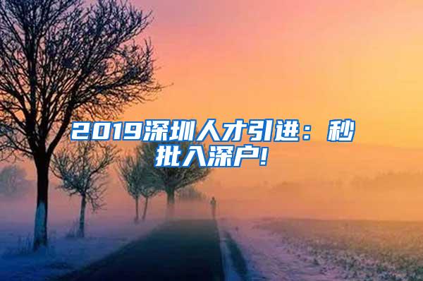 2019深圳人才引进：秒批入深户!