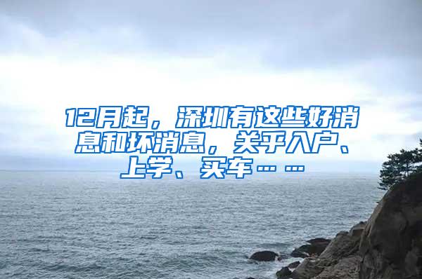 12月起，深圳有这些好消息和坏消息，关乎入户、上学、买车……