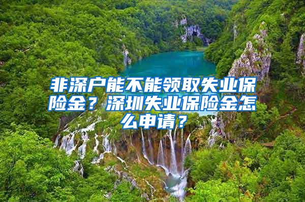 非深户能不能领取失业保险金？深圳失业保险金怎么申请？