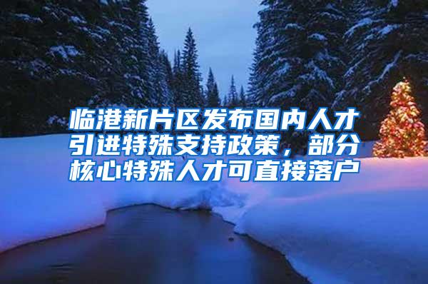 临港新片区发布国内人才引进特殊支持政策，部分核心特殊人才可直接落户