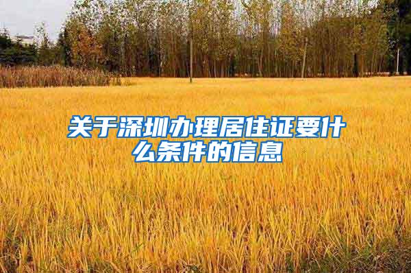 关于深圳办理居住证要什么条件的信息