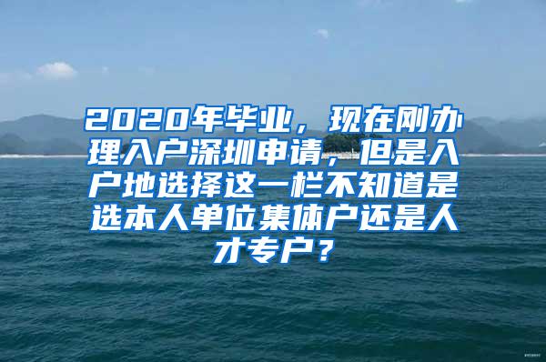 2020年毕业，现在刚办理入户深圳申请，但是入户地选择这一栏不知道是选本人单位集体户还是人才专户？