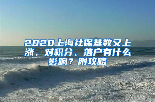 2020上海社保基数又上涨，对积分、落户有什么影响？附攻略