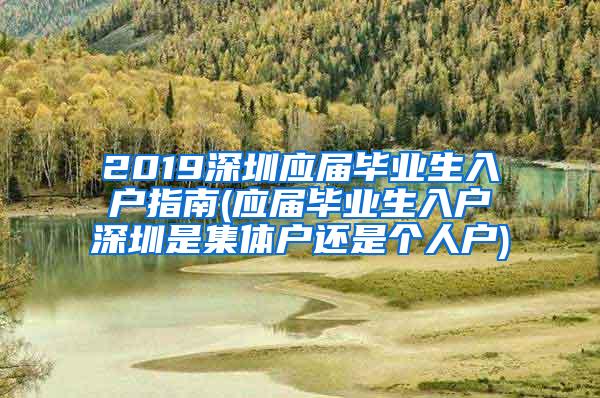 2019深圳应届毕业生入户指南(应届毕业生入户深圳是集体户还是个人户)