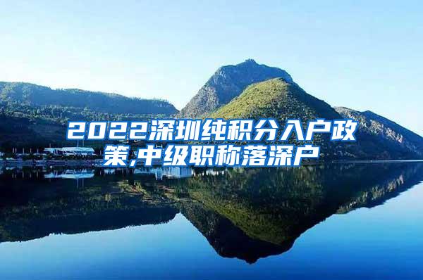 2022深圳纯积分入户政策,中级职称落深户