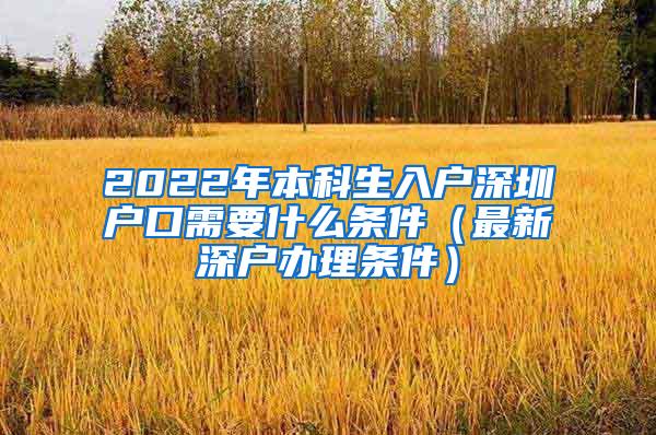 2022年本科生入户深圳户口需要什么条件（最新深户办理条件）