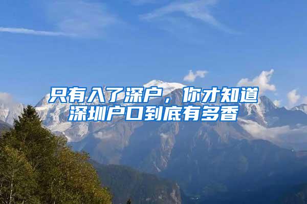 只有入了深户，你才知道深圳户口到底有多香