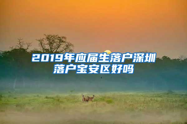 2019年应届生落户深圳落户宝安区好吗