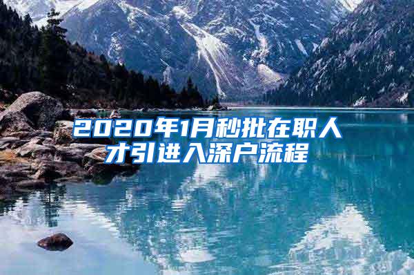 2020年1月秒批在职人才引进入深户流程