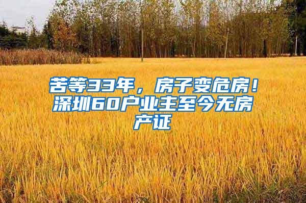 苦等33年，房子变危房！深圳60户业主至今无房产证