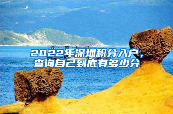 2022年深圳积分入户，查询自己到底有多少分