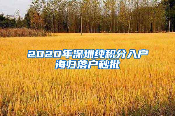 2020年深圳纯积分入户海归落户秒批