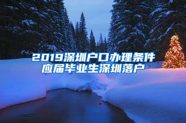 2019深圳户口办理条件应届毕业生深圳落户