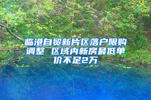 临港自贸新片区落户限购调整 区域内新房最低单价不足2万