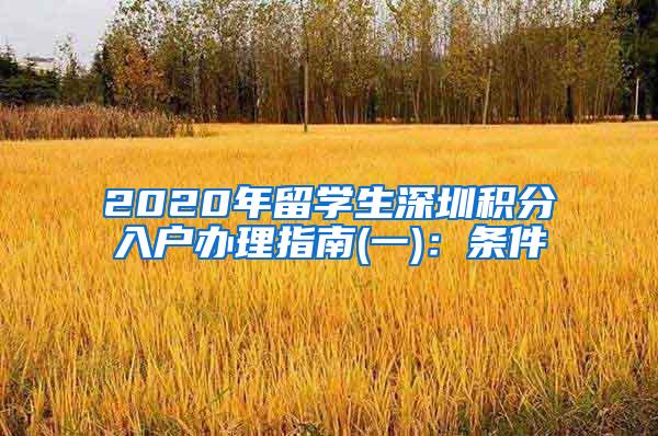 2020年留学生深圳积分入户办理指南(一)：条件