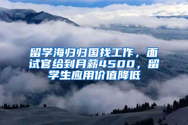 留学海归归国找工作，面试官给到月薪4500，留学生应用价值降低