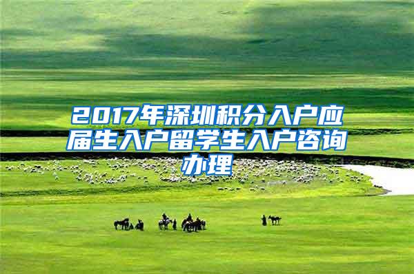 2017年深圳积分入户应届生入户留学生入户咨询办理