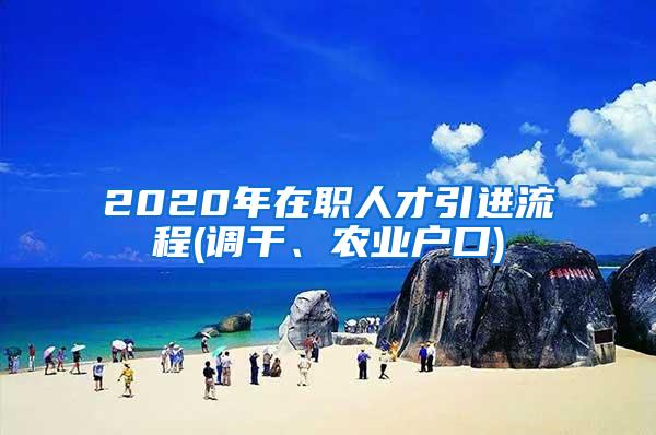 2020年在职人才引进流程(调干、农业户口)