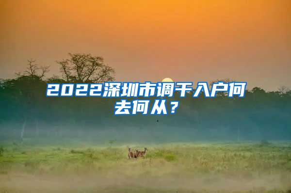 2022深圳市调干入户何去何从？