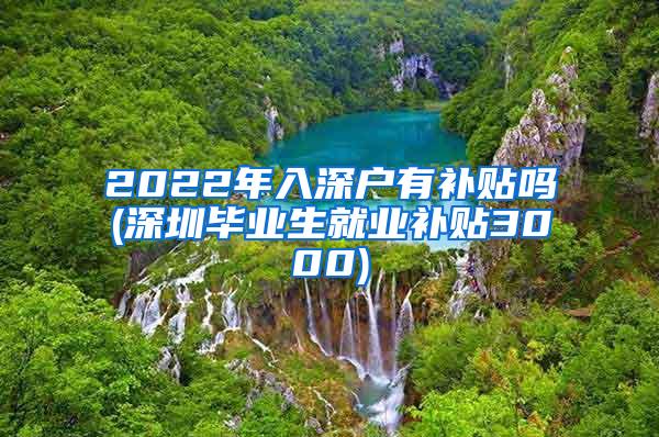 2022年入深户有补贴吗(深圳毕业生就业补贴3000)