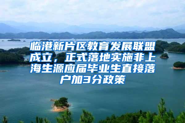 临港新片区教育发展联盟成立，正式落地实施非上海生源应届毕业生直接落户加3分政策